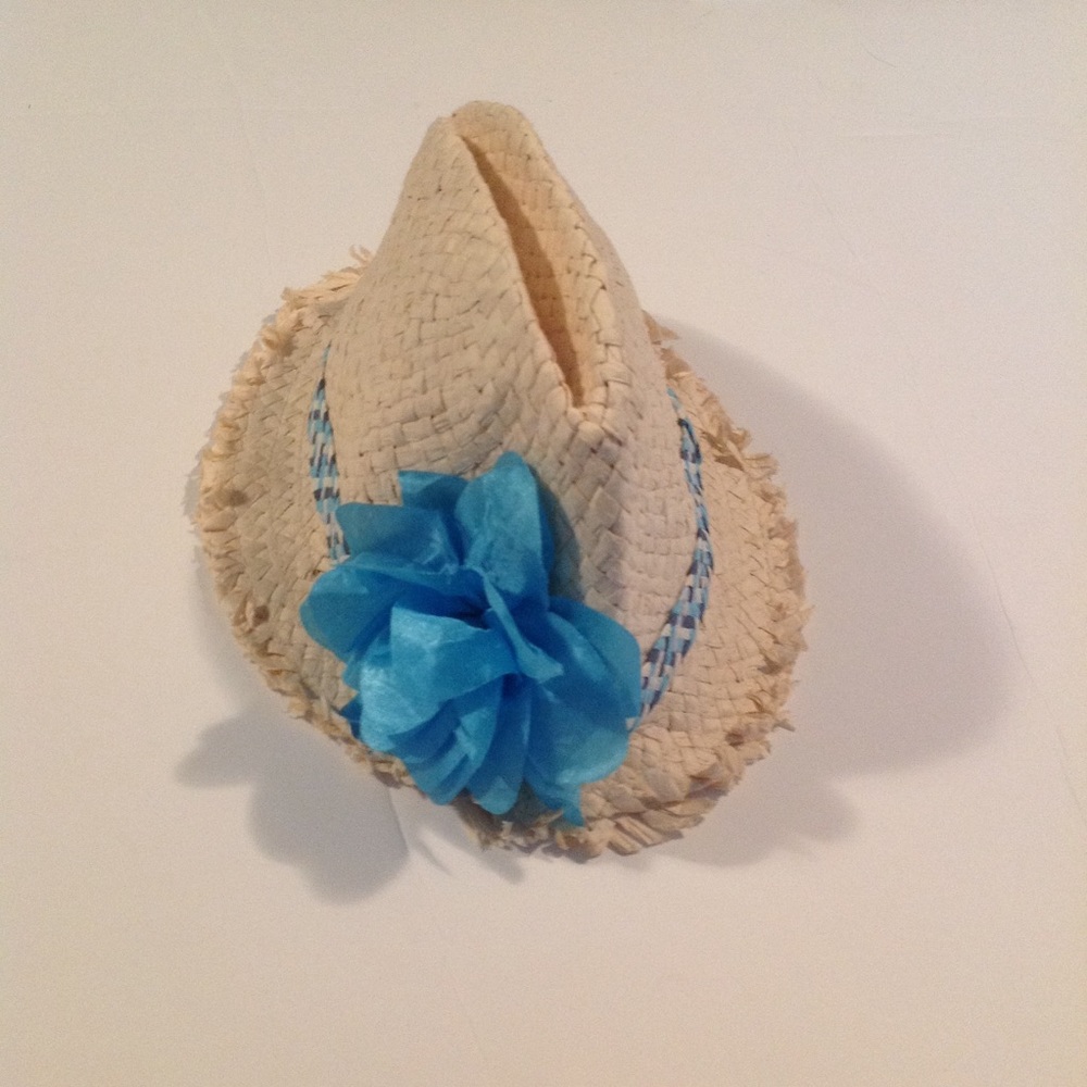 Beautiful hat